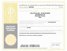 vitas certificado API STD 600